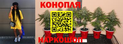 Альфа ПВП Северобайкальск