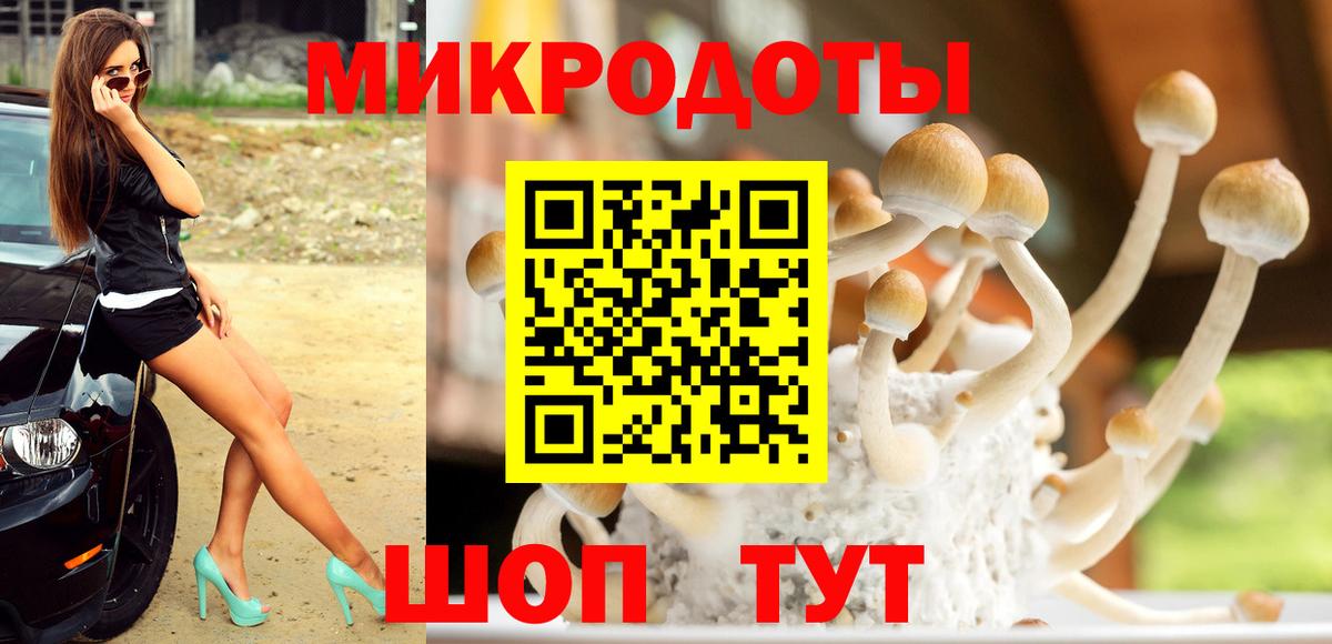 где продают наркотики  Псилоцибиновые грибы Psilocybe  Вход с VPN  Кумертау 